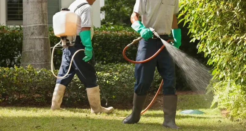 شركة مكافحة حشرات بالشارقة 1 شركة مكافحة حشرات بالشارقة