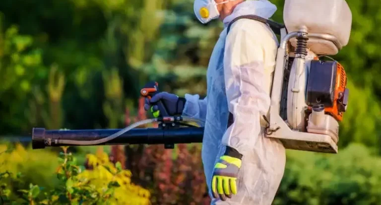 شركة مكافحة حشرات في دبي