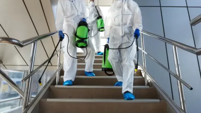 شركة مكافحة حشرات بالشارقة 2 شركة مكافحة حشرات بالشارقة