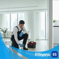 شركة مكافحة حشرات راس الخيمة