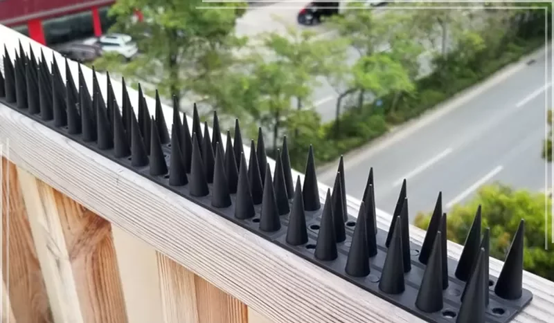 تركيب اشواك وجهاز طرد الحمام في دبي تركيب اشواك وجهاز طرد الحمام في دبي