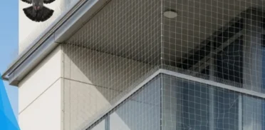 شركة مكافحة الحمام في دبي