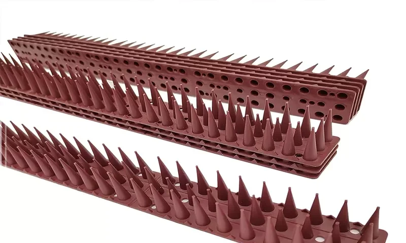 مكافحة الحمام في الشارقة مكافحة الحمام في الشارقة