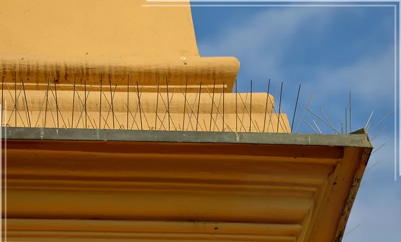 شركة تركيب طارد حمام بالشارقة شركة تركيب طارد حمام بالشارقة